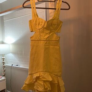 Brand new, size 0, Jonathan simkhai yellow gingham dress. Never worn, no tags.